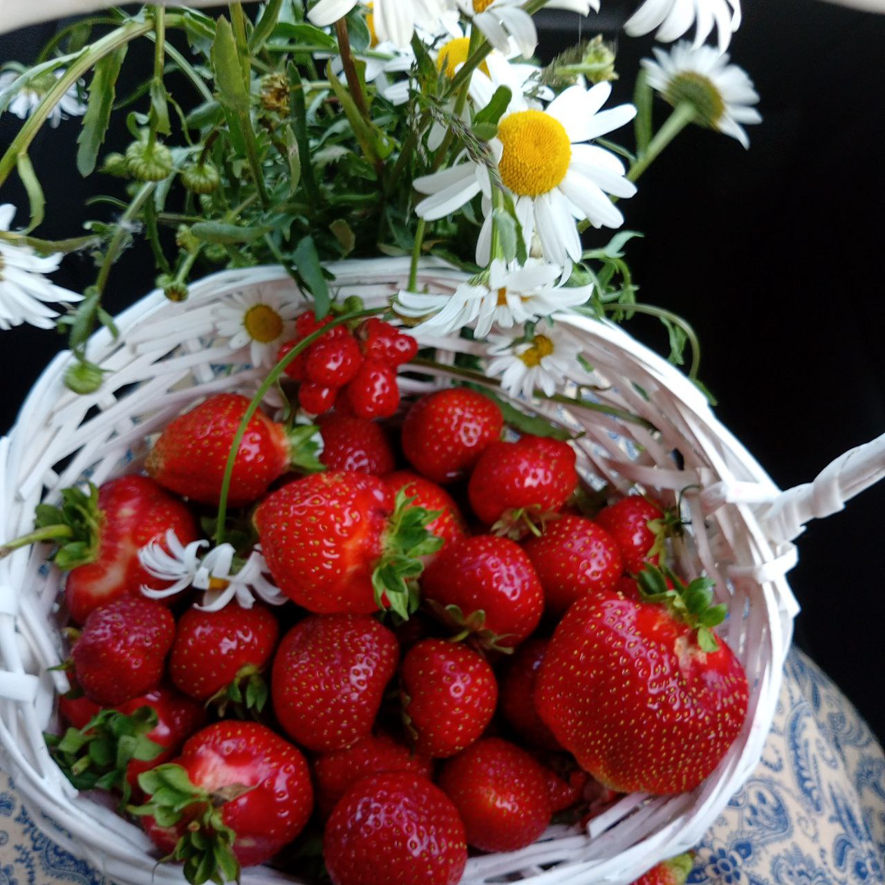 Клубника свежая